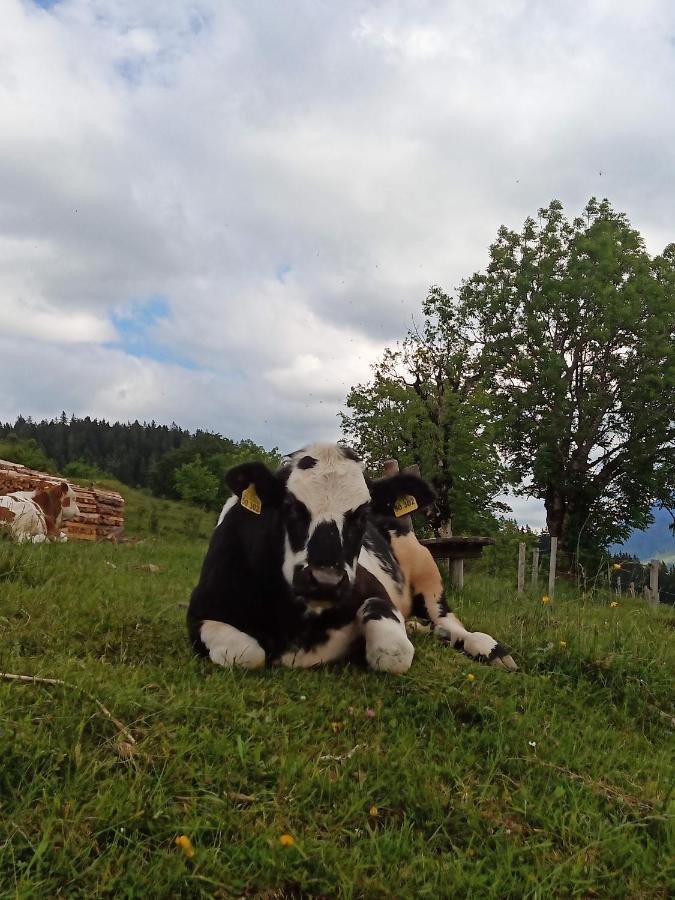Haus Schwarzeck Daire Ramsau bei Berchtesgaden Dış mekan fotoğraf